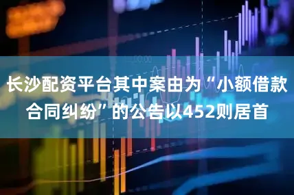 长沙配资平台其中案由为“小额借款合同纠纷”的公告以452则居首