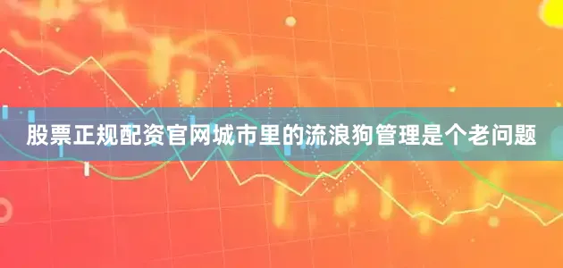 股票正规配资官网城市里的流浪狗管理是个老问题