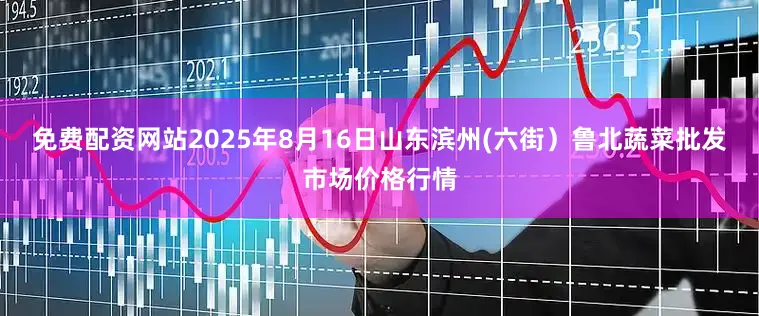 免费配资网站2025年8月16日山东滨州(六街)鲁北蔬菜批发市场价格行情